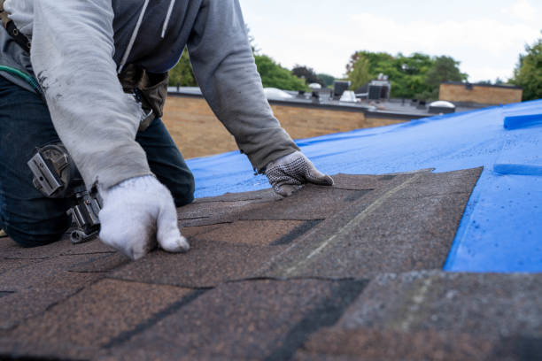 Sheet Metal Roofing in Holiday Valley, OH
